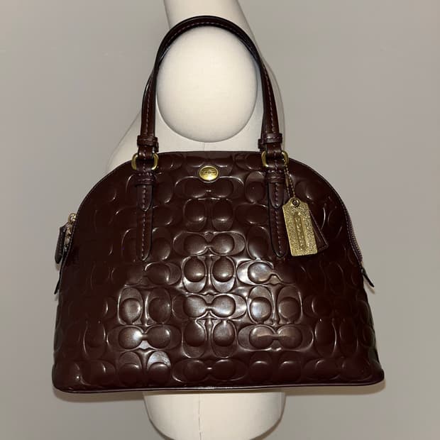 🎉BLACK FRIDAY🎉 Coach brown Bag