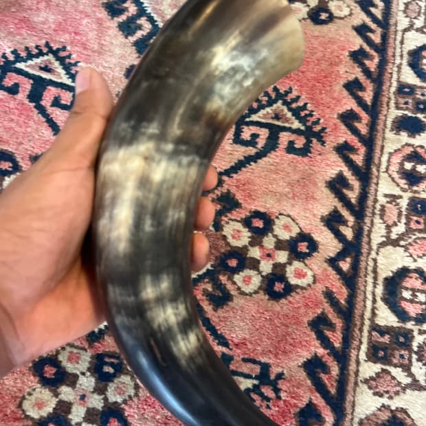 뿔오브제