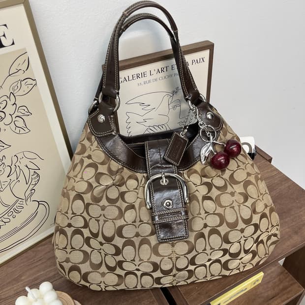 Coach Baege & Brown Shoulder Bag