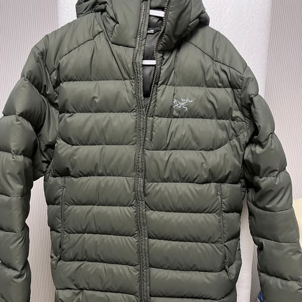 아크테릭스 토륨후디 포리지 