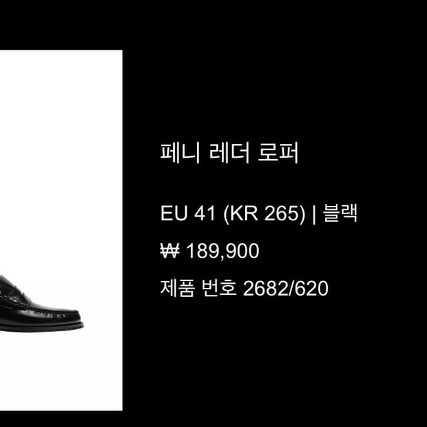 41 자라 더로우 페니 레더 로퍼