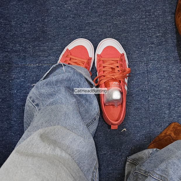 착샷O_아디다스 니짜 트레포일 로우 [세탁 완료]