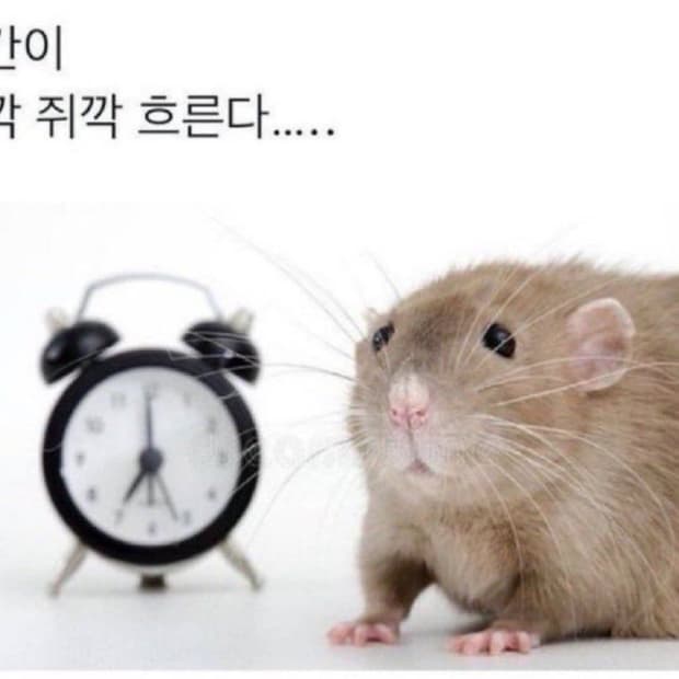 일부 제품 반짝 할인 적용되었습니다 🙇🏻‍♀️ 