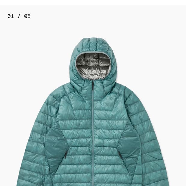 골드윈 Goldwin 1000FP Hooded Down Jacket