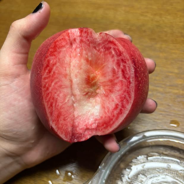 프라다 스포츠 개인 분할결제창