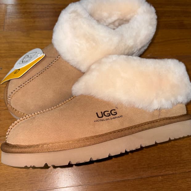 호주 어그 앵클 부츠 체스넛 색 230