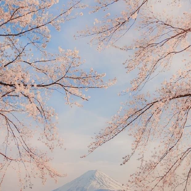 개인결제창