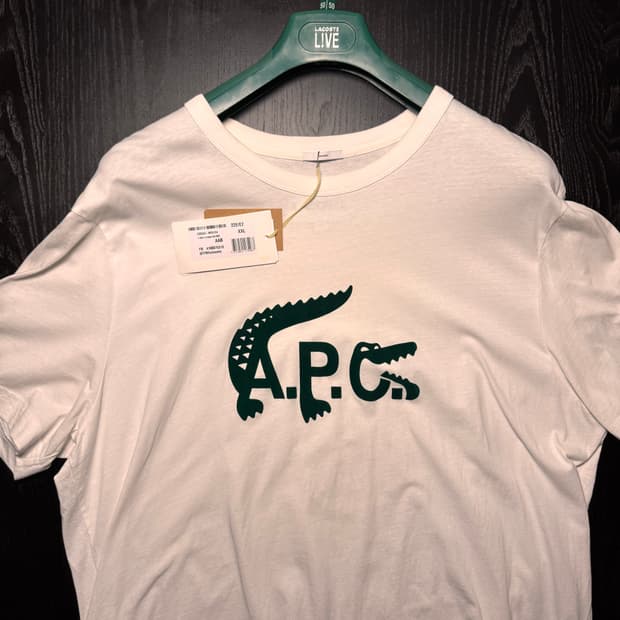 아페쎄 X 라코스테 져지 티셔츠 (XXL)
