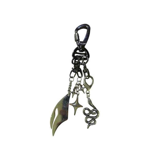 Snake star keyring 키링