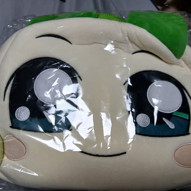 양파 쿵야 백팩 팝니다