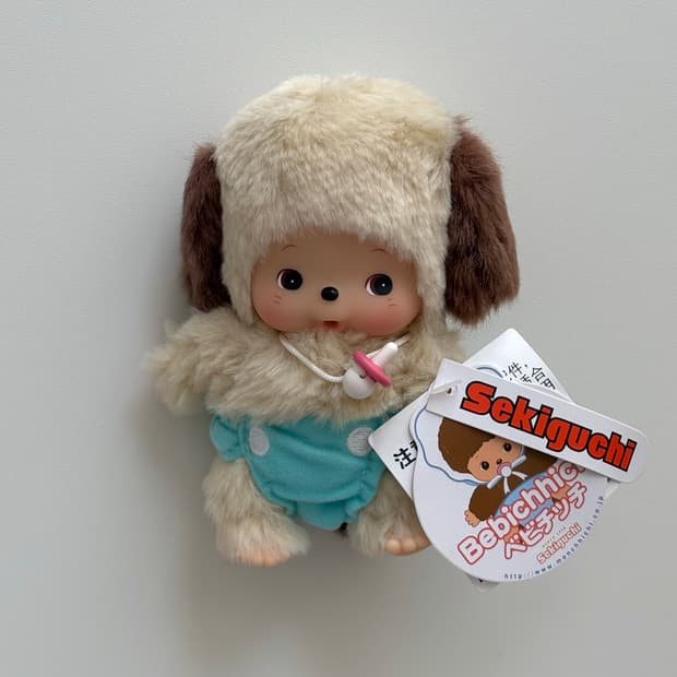 강아지 하비 몬치치 베비치치
