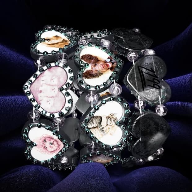 1199 bazo cats and dogs bracelet