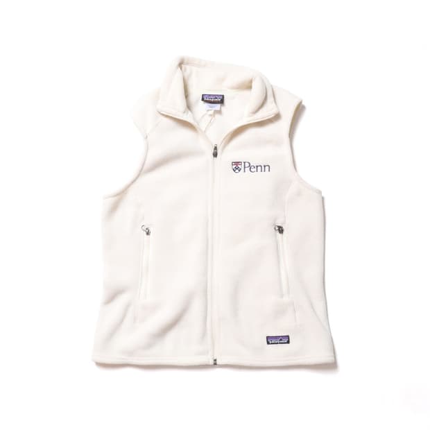 파타고니아 Patagonia Synchilla Vest
