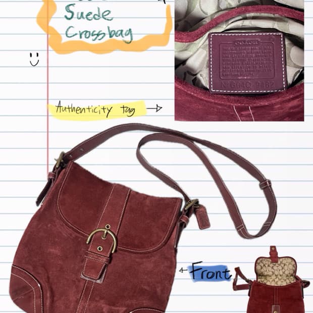 Coach Y2K suede crossbag