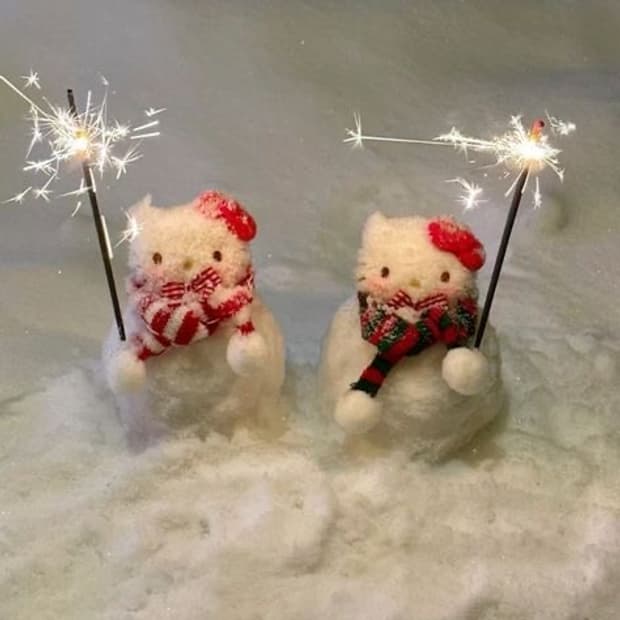 무료나눔 할인 이벤트