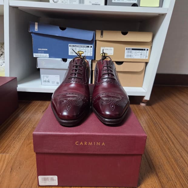 Carmina 버건디 캡토우 남성 구두