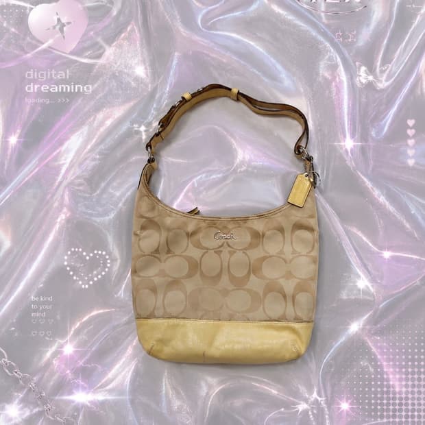 COACH 코치 시그니처 크로스바디 캔버스 페이던트 레더 호보 숄더백