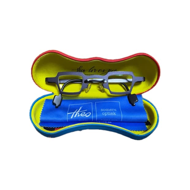 Theo eyewear 'kaya' 테오 안경 '카야'