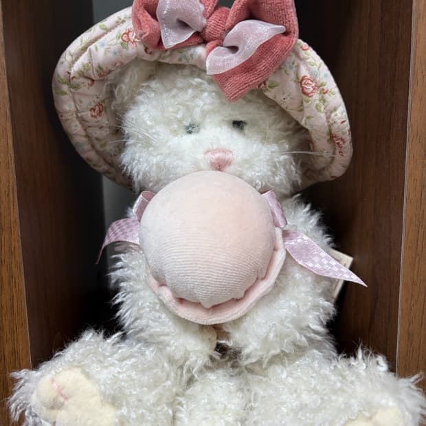 빈티지 보이즈베어 꽃모자 아이스크림 고양이