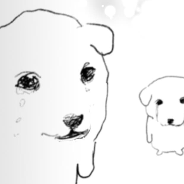 삽니다) 캐논 익서스 870(익시 920)