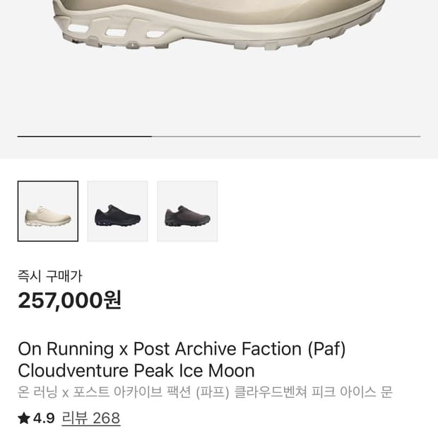 290) 온러닝 x 파프 클라우드벤쳐 피크 아이스 문