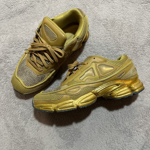 라프시몬스 오즈위고