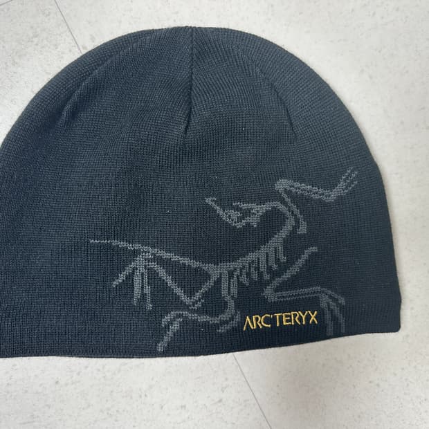 아크테릭스 비니