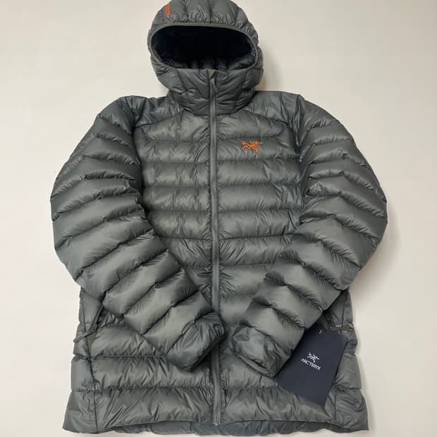 [M] 아크테릭스 세륨 후디 포리지