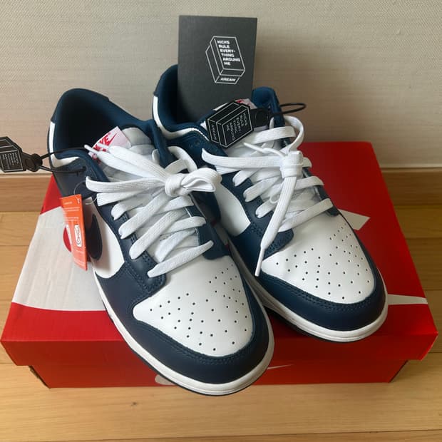 [새상품] Nike Dunk Low Retro Valerian Blue 