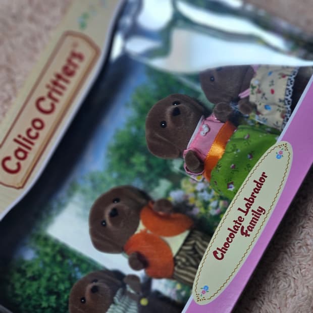 실바니안 초콜릿 래브라도 가족 판매합니다