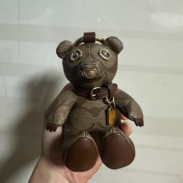 코치 시그니처 백참 브라운 곰돌이