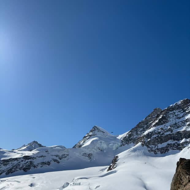 노이어 레더 크러커 48