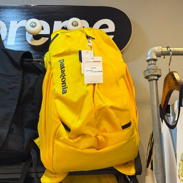 Patagonia Bag