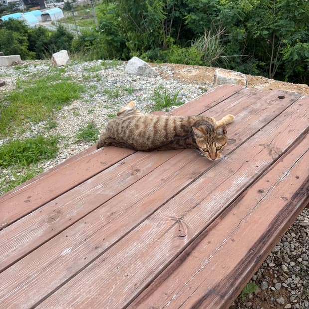 개인결제창입니다