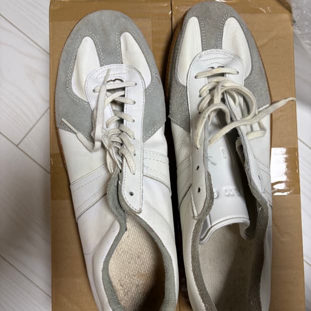 Bw sport 독일군 290