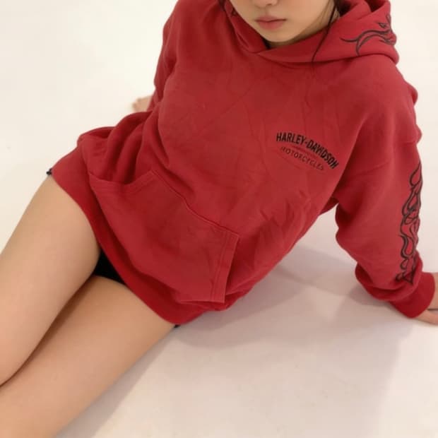 할리 데이비슨 플레임 프린트 풀오버 후디