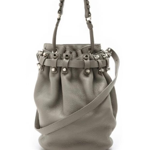 알렉산더왕 버킷백 