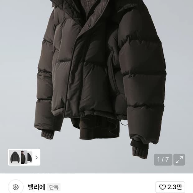 25FW 벨리에 크로스라인 후디스 구스다운 딥브라운 04 100size