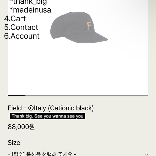 테프스토어즈 Field - @Italy (Cationic black) M
