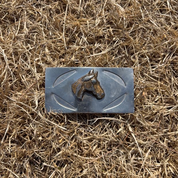 홀스 헤드 웨스턴 버클