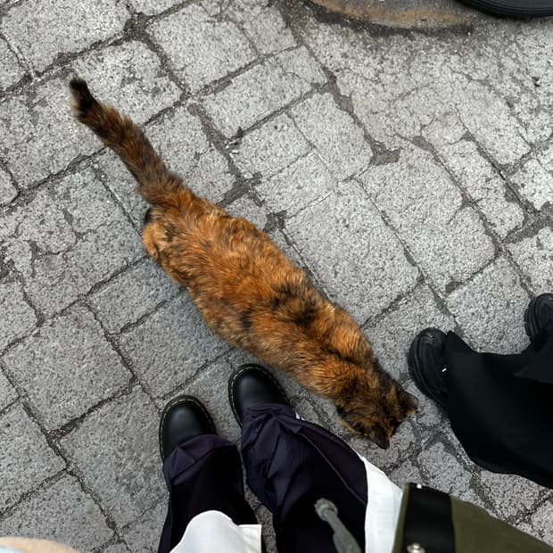 미피 손수건 개인결제