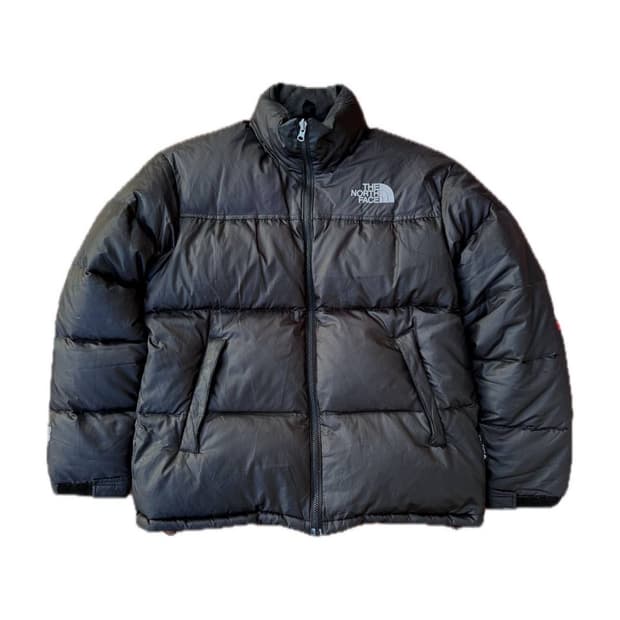 TNF summit series goose down jacket