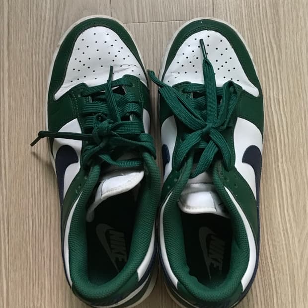 나이키 덩크로우 스파르탄 그린 245