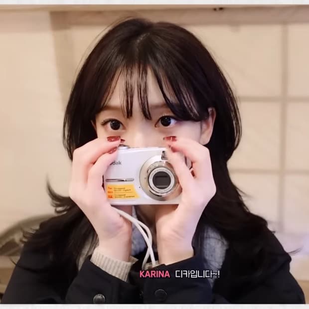 (카리나디카) 코닥 C713