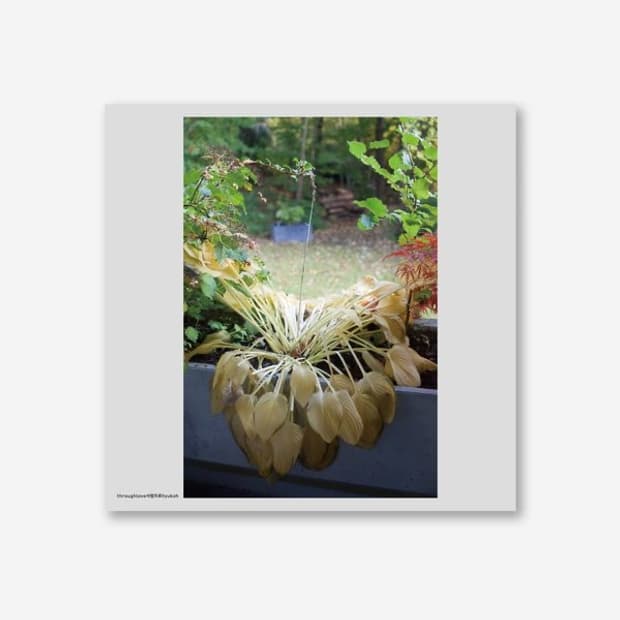 혁오 사랑으로 LP