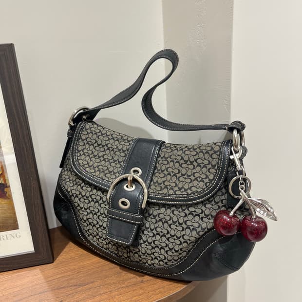Coach Black Basic Bag