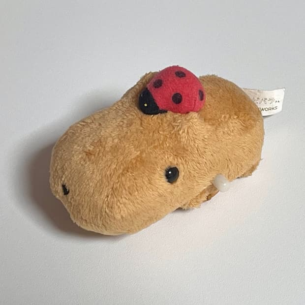 카피바라상 무당벌레 바퀴 태엽 인형