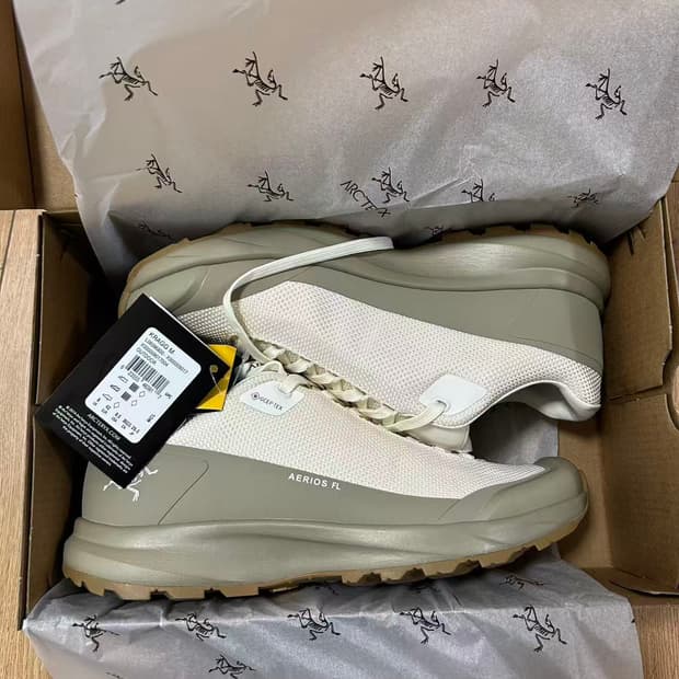 아크테릭스 에어리어스 FL 2 고어텍스 아크틱 실크 스모크 블러프