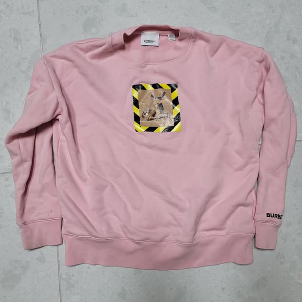 버버리 핑크 맨투맨 키즈140 정품

오른팔소매 약간의 오염