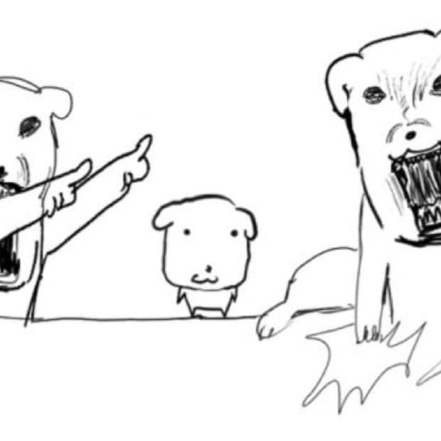 구함) 코닥 이지쉐어 c143 구합니다!